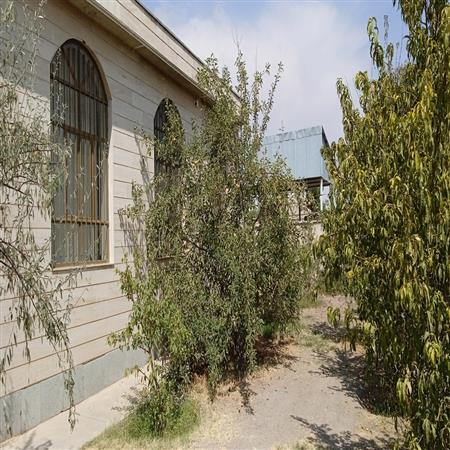 حیاط کتابخانه